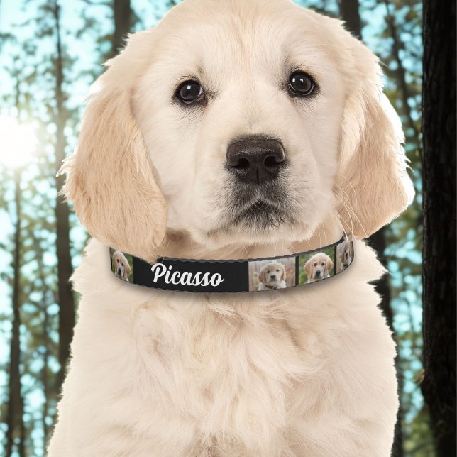 Black Dog`s Name 2 Photos  Pet Collar (Creator Uploaded)