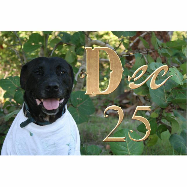 Black dog white shirt Dec 25th design Statuette (Front)