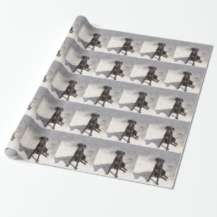 Black dog with an evil eye wrapping paper