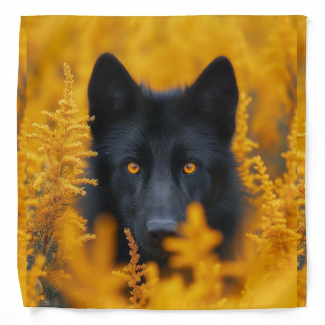 Black Dog with Stunning Gold Eyes Bandana (Front)
