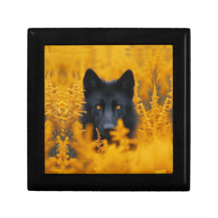 Black Dog with Stunning Gold Eyes Gift Box