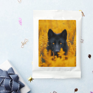 Black Dog with Stunning Gold Eyes Margarita Drink Mix
