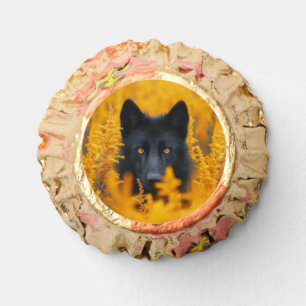Black Dog with Stunning Gold Eyes Reese's Peanut Butter Cups