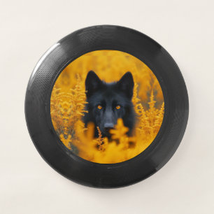 Black Dog with Stunning Gold Eyes Wham-O Frisbee