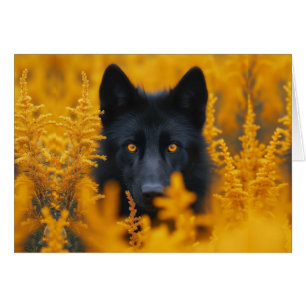 Black Dog Wolf w/ Stunning Gold Eyes Blank Inside Cards