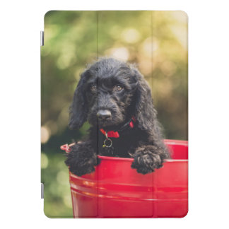 Black Doodle Puppy in a Red Bucket iPad Pro Cover