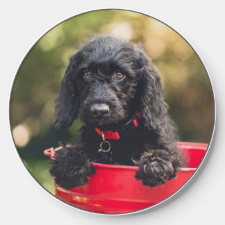 Black Doodle Puppy in a Red Bucket Wireless Charger