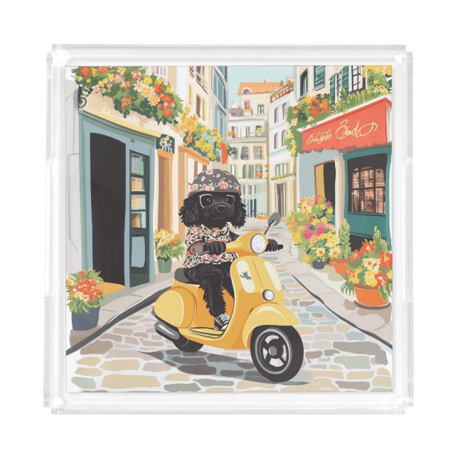 Black Doodle Riding Scooter European City Streets Acrylic Tray (Front)