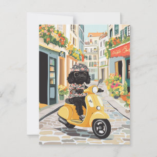 Black Doodle Riding Scooter European City Streets Postcard