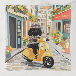 Black Doodle Riding Scooter European City Streets Trinket Tray
