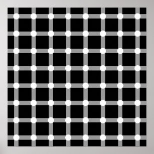 Black Dots White Line Grid Square Optical Illusion Poster