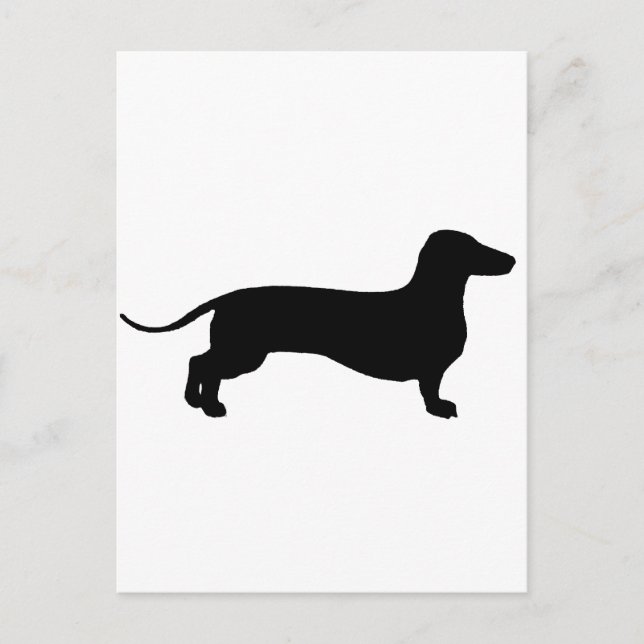 Black Doxie Postcard (Front)