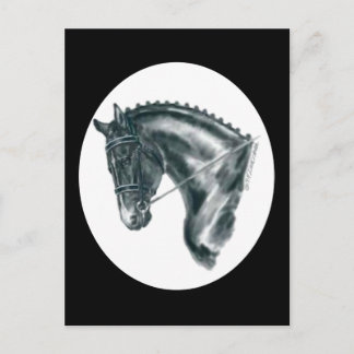 Black Dressage Horse Portrait Postcard