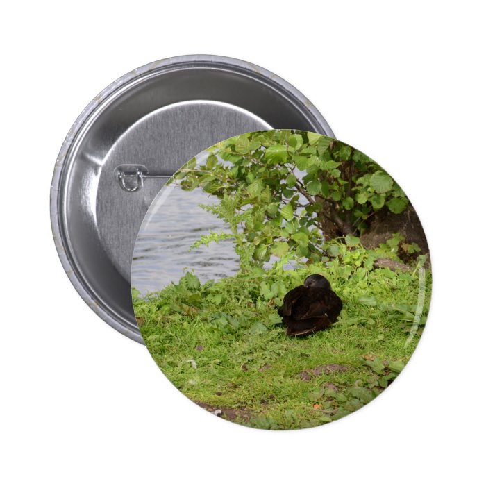 Black Duck Pinback Button