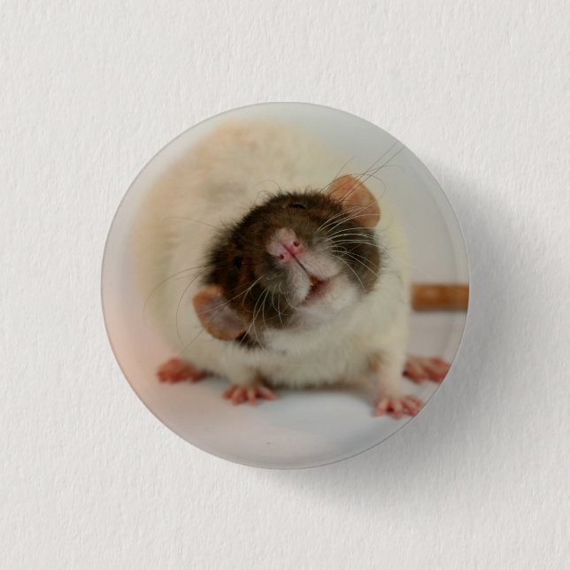 Black dumbo rex Rat Button (Front)