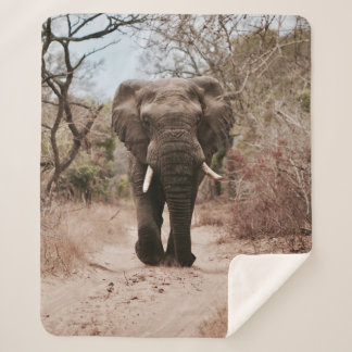 BLACK ELEPHANT WALKING ON BROWN SAND SHERPA BLANKET