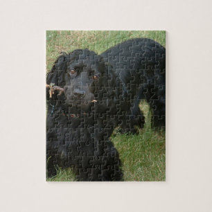 black English cocker Spain full 2 Jigsaw Puzzle
