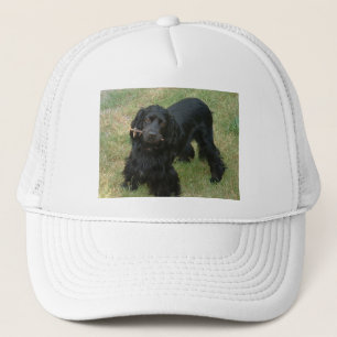 black english cocker spaniel full 2 trucker hat