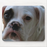 Black Eyed Boxer Dog Mouse Pad