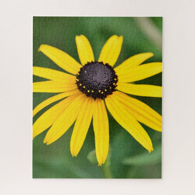 Black Eyed Susan - 16x20 520 pcs. Floral Puzzle (Vertical)