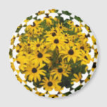 black-eyed-susan-6 magnet