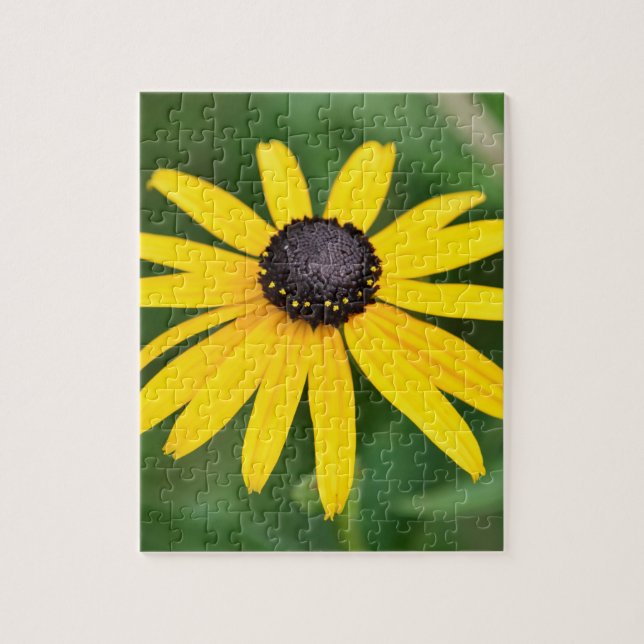 Black Eyed Susan - 8x10 110 pcs. Floral Puzzle (Vertical)