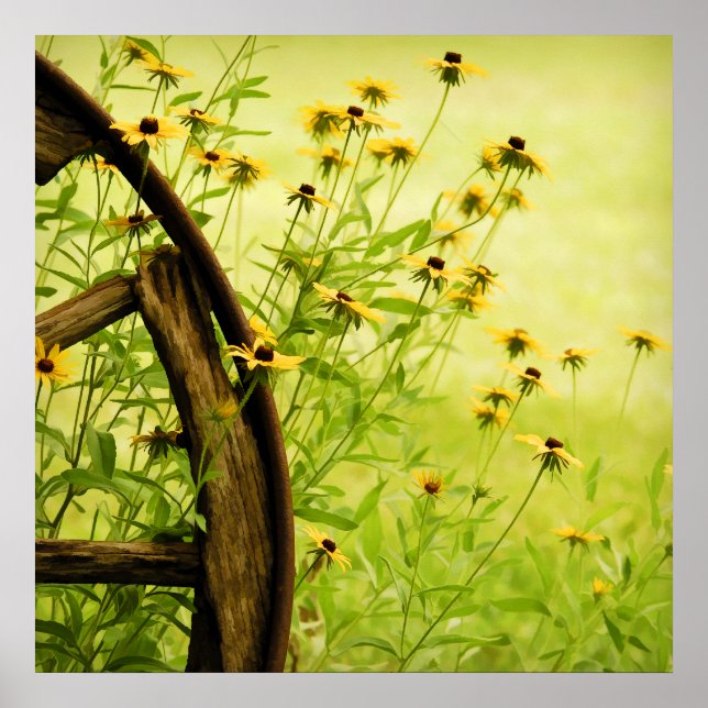 Black-Eyed Susan and Wagon Wheel Photo Poster (Front)