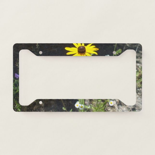 Black Eyed Susan and White Daisies License Plate Frame (Front)