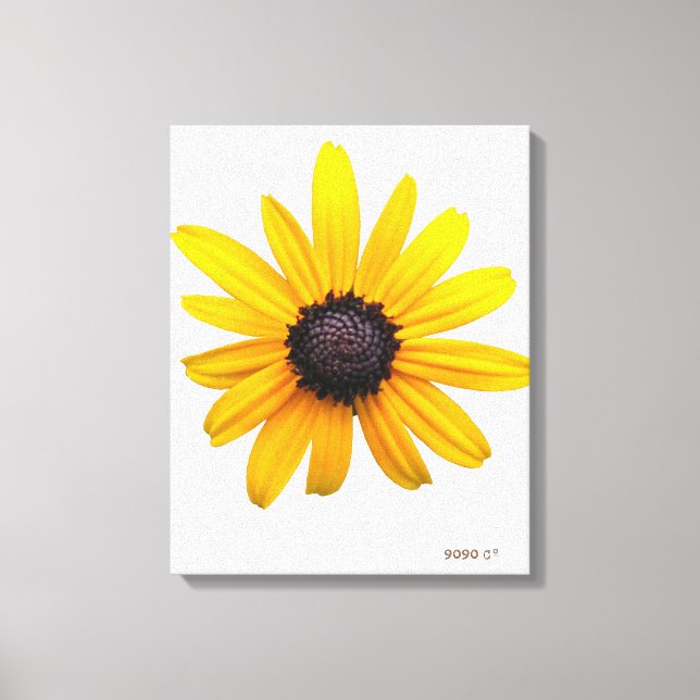 Black-eyed Susan Art Canvas Print (Front)