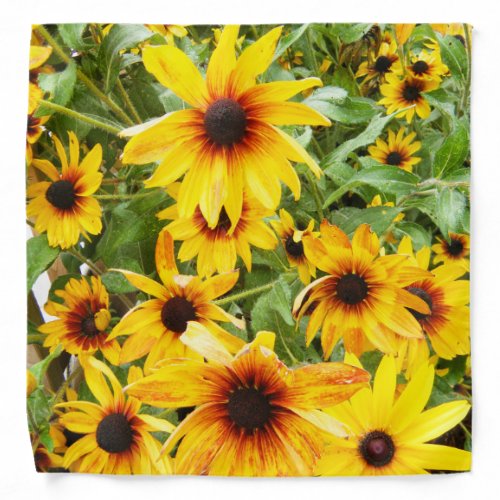 Black Eyed Susan Bandana