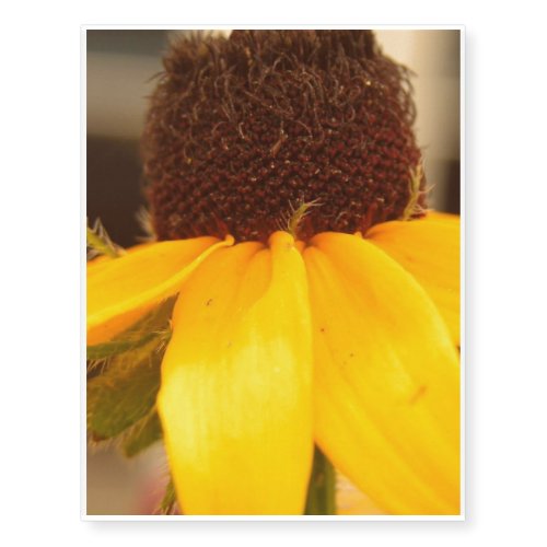 Black Eyed Susan Blossom Temporary Tattoos