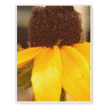 Black Eyed Susan Blossom Temporary Tattoos