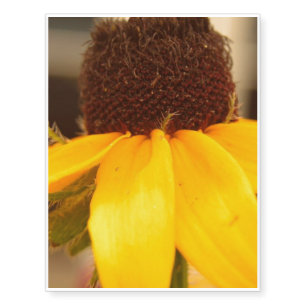 Black Eyed Susan Blossom Temporary Tattoos