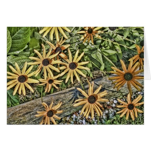 Black Eyed Susan Card (Front Horizontal)