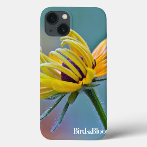 Black_eyed Susan iPhone 13 Case