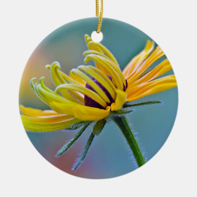 Black-eyed Susan Ceramic Ornament (Front)