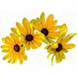Black-eyed Susan Christmas Hanging Acrylic Statuette<br><div class="desc">This lovely holiday ornament will brighten your Christmas tree with four brilliant golden yellow Black Eyed Susan blossoms.</div>