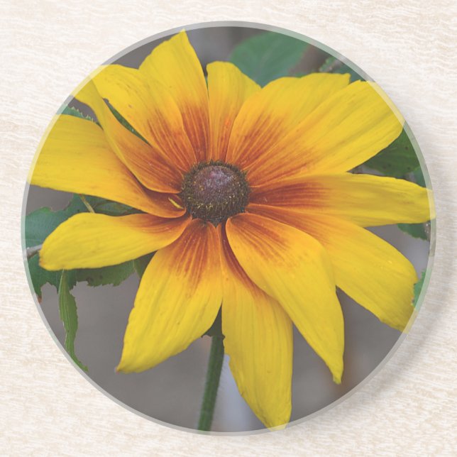 Black Eyed Susan Coaster (Front)