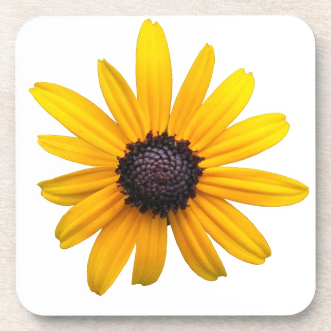 Black-eyed Susan Coasters (Front)