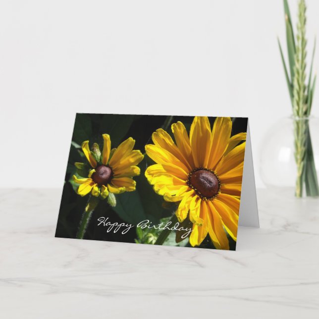 Black Eyed Susan Daisies Birthday Card (Front)