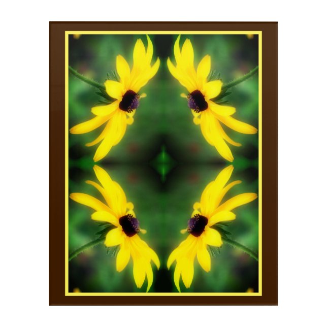 Black Eyed Susan Daisy Flower Abstract  Acrylic Print (Front)
