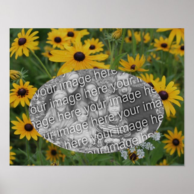 Black Eyed Susan Daisy Frame Add Your Own Photo  Poster (Front)