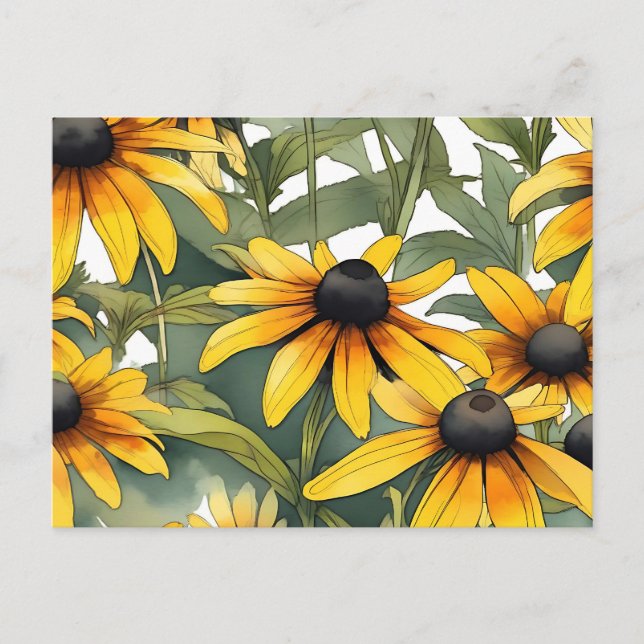 Black-Eyed Susan Floral Postcard (Front)