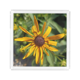 Black-Eyed Susan Floral Vanity Tray Yellow Wildf