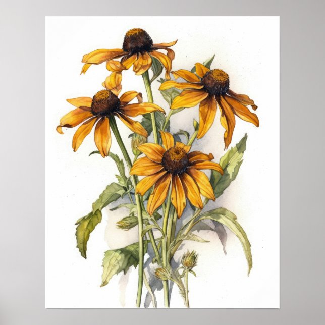 Black Eyed Susan Flower Art Print Poster (Front)
