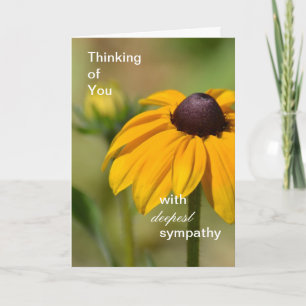 Black Eyed Susan Flower Deepest Sympathy Card