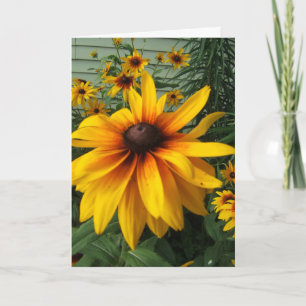 Black-Eyed Susan Flower Garden Card