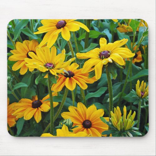 Black eyed susan flower garden mouse pad