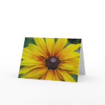 Black Eyed Susan Flower Greeting Card