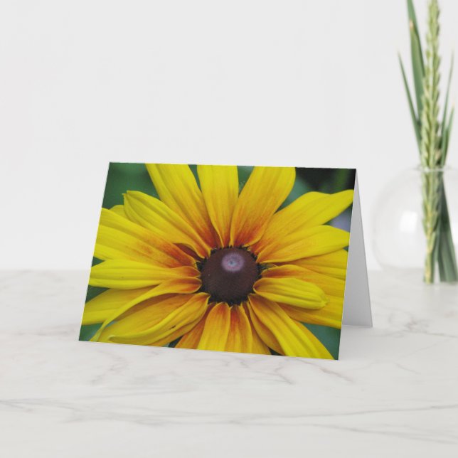 Black Eyed Susan Flower Greeting Card (Front)